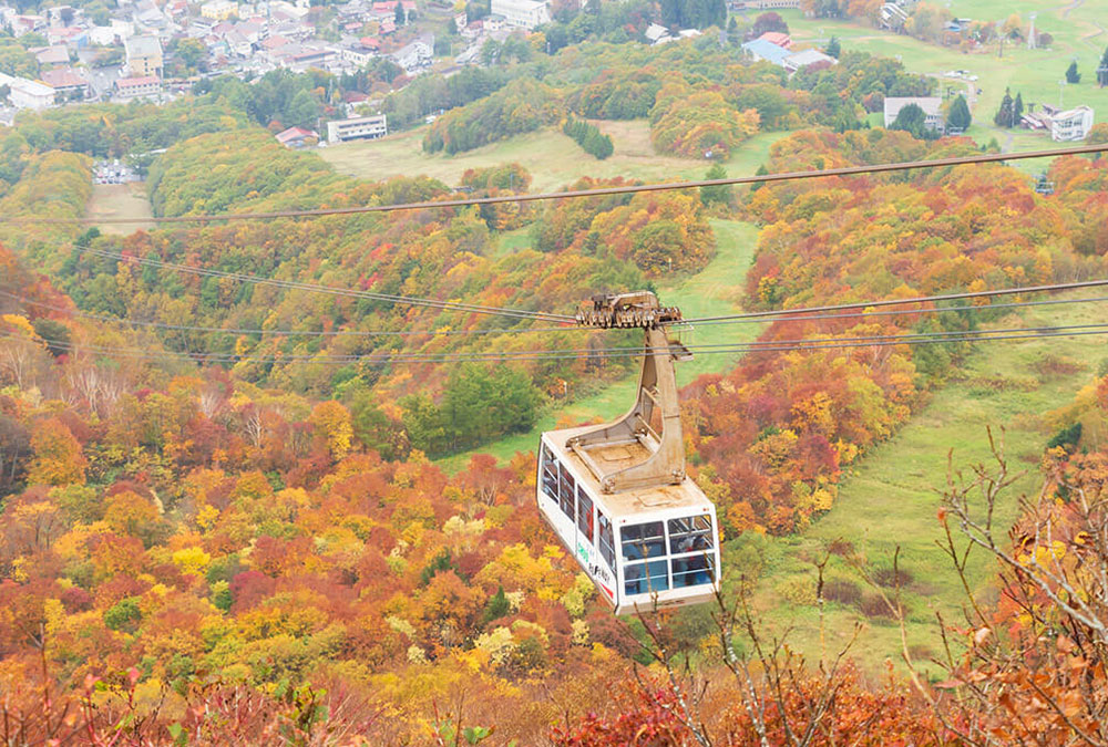 자오 중앙 로프웨이